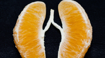 Best 5 Foods To Naturally Cleanse Your Lungs