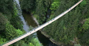 Beware of These 24 Terrifying Bridges From Around the World