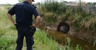 Farmer’s Ancient 2-Ton Discovery Leads to Scientific Breakthrough